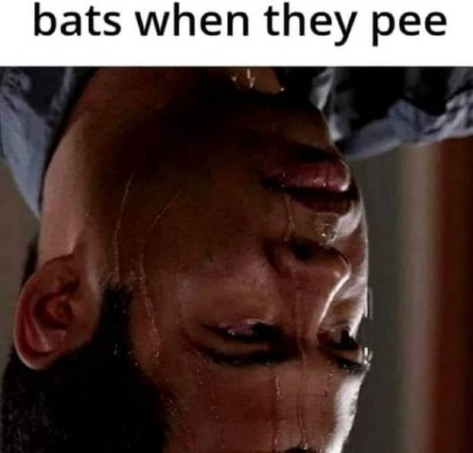 WTF