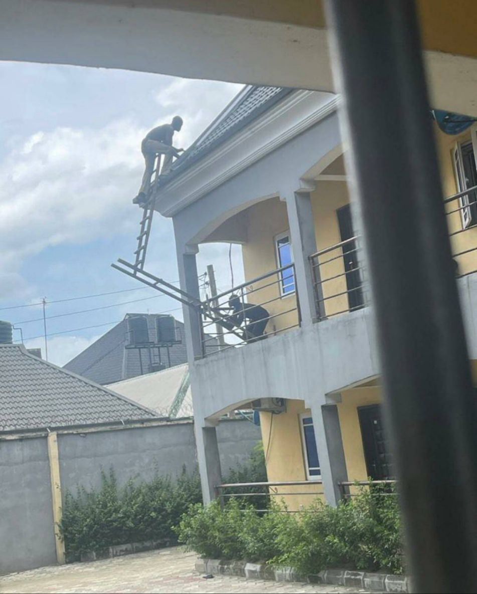 WTF