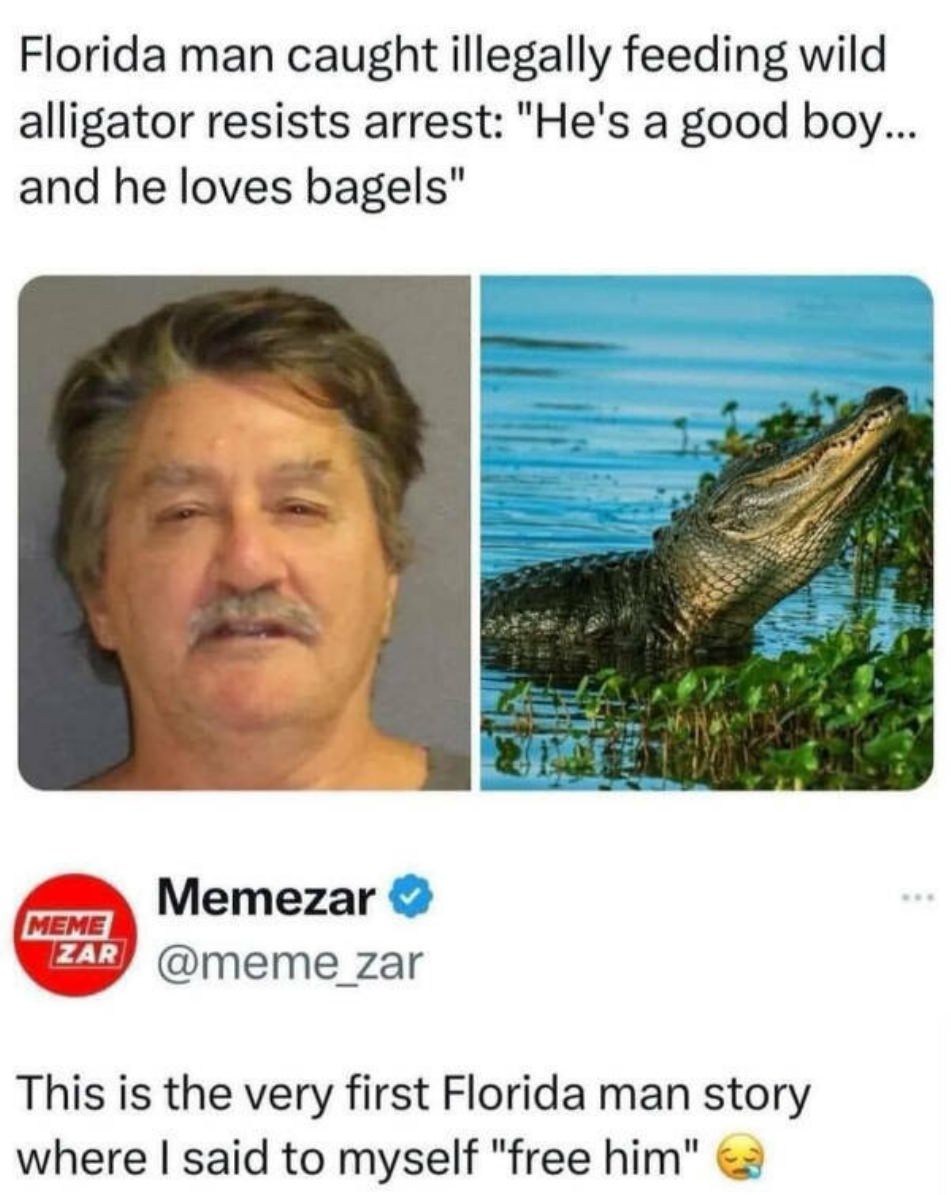 WTF