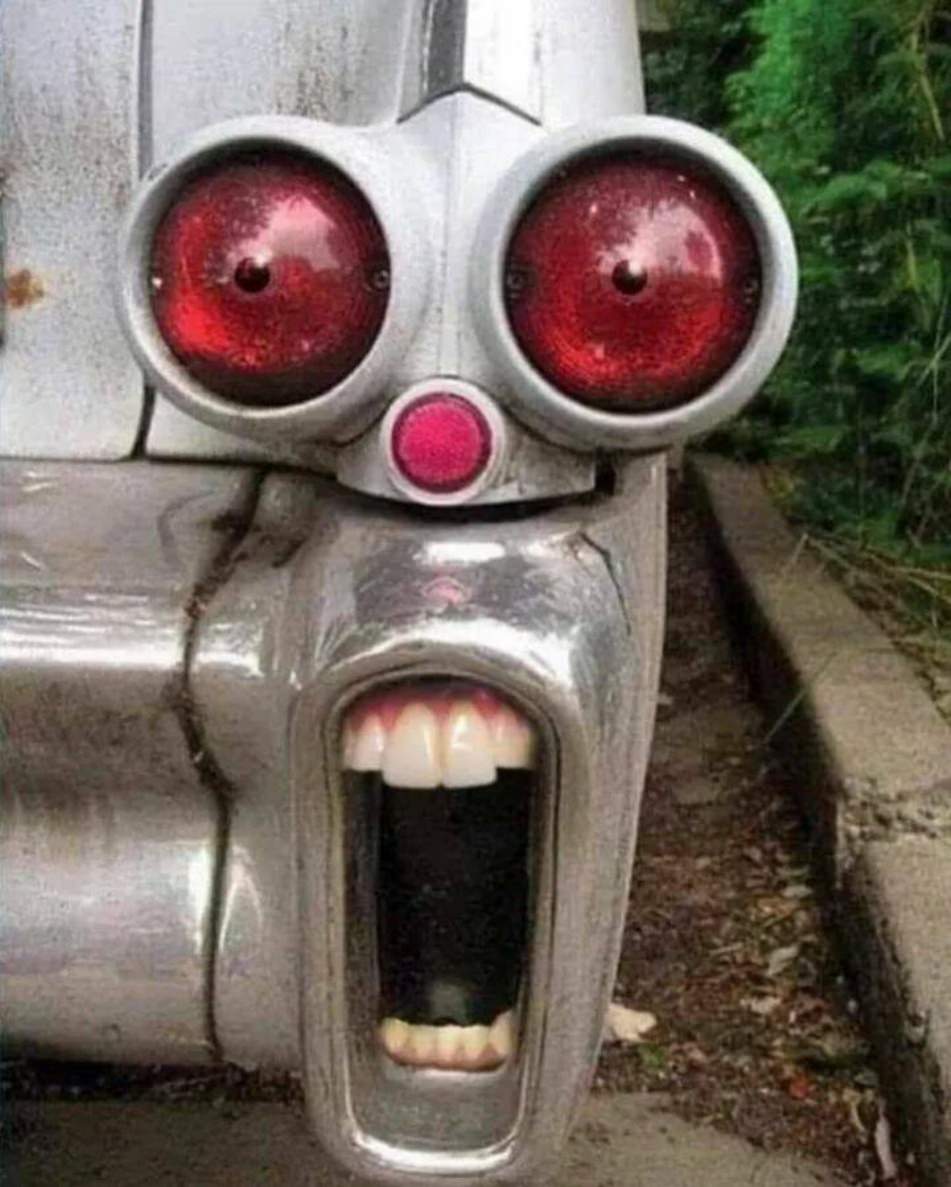 WTF