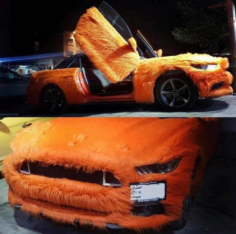WTF
