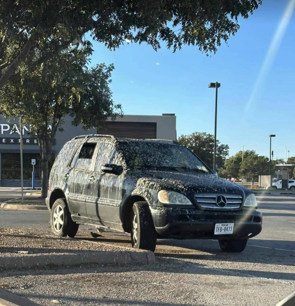 WTF