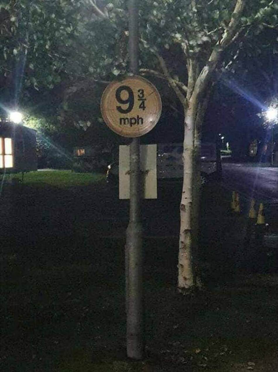 WTF