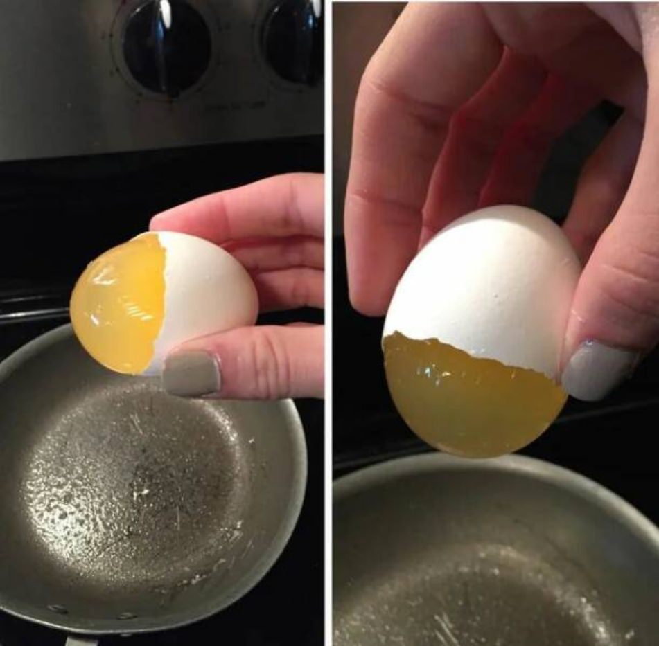 WTF