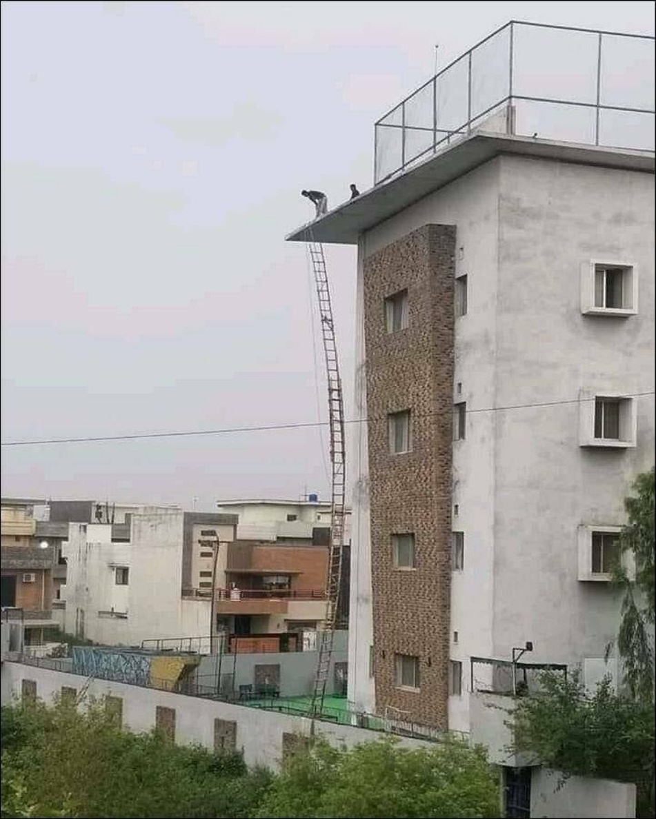 WTF