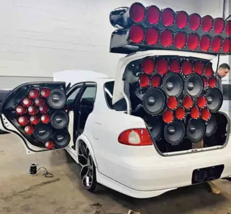 WTF
