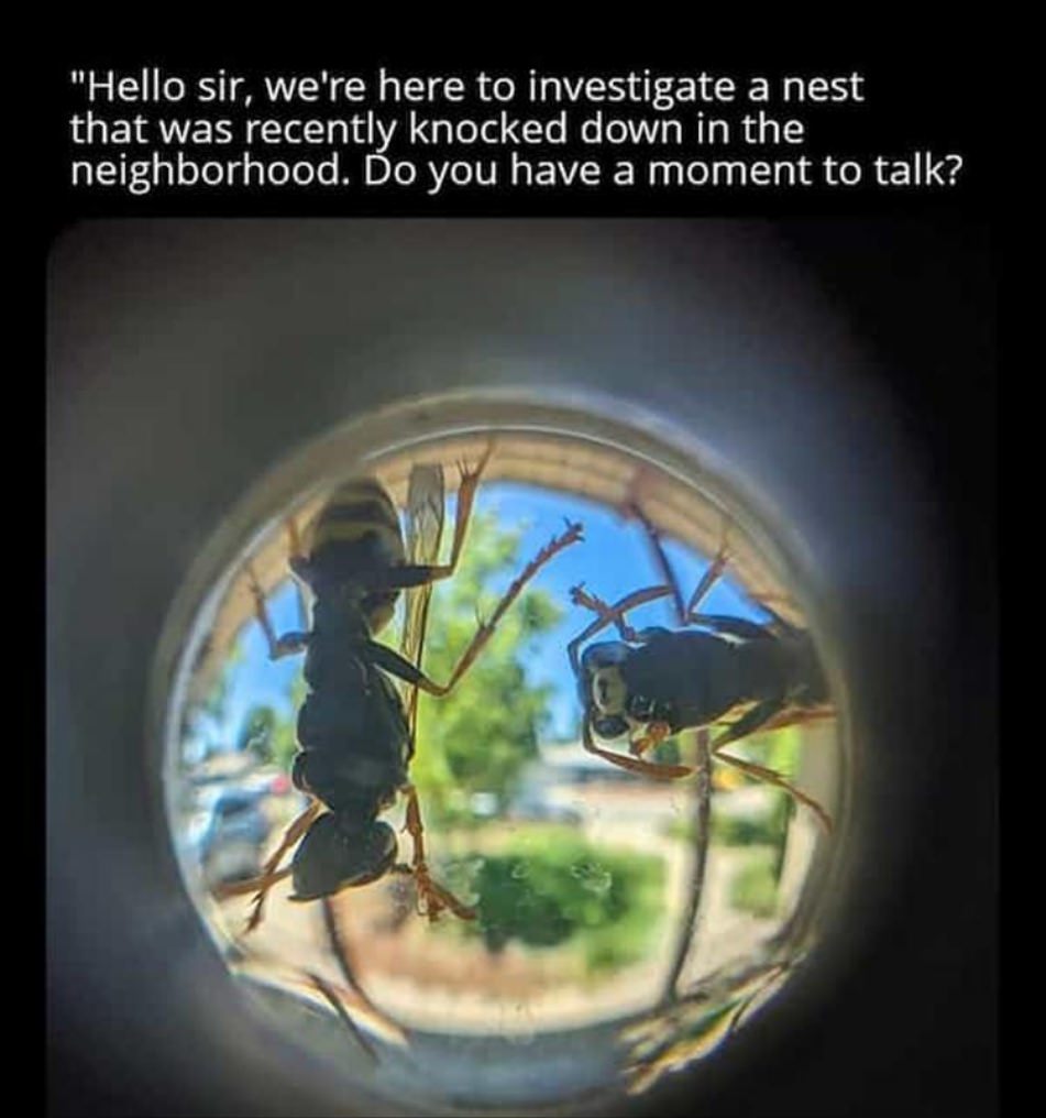 WTF