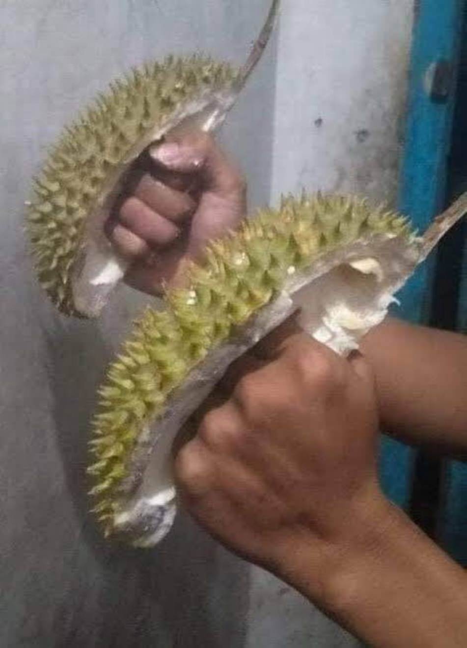 WTF
