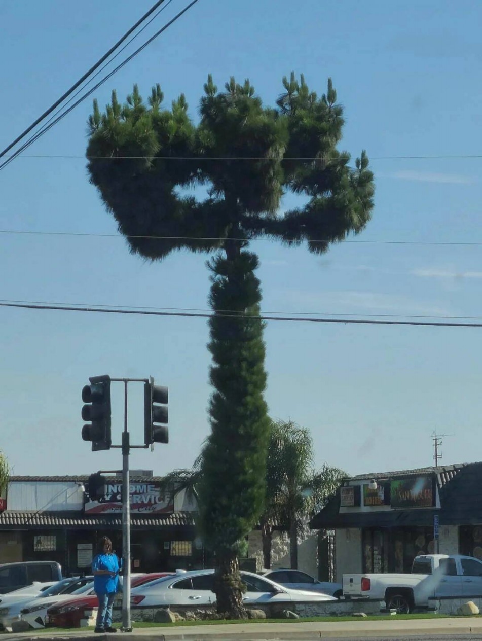 WTF