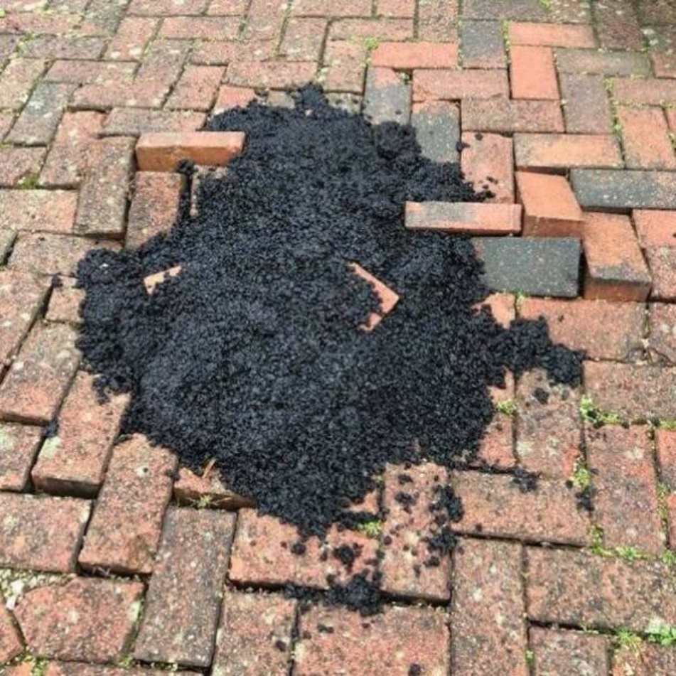 WTF