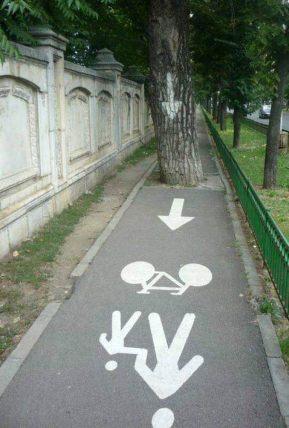 WTF