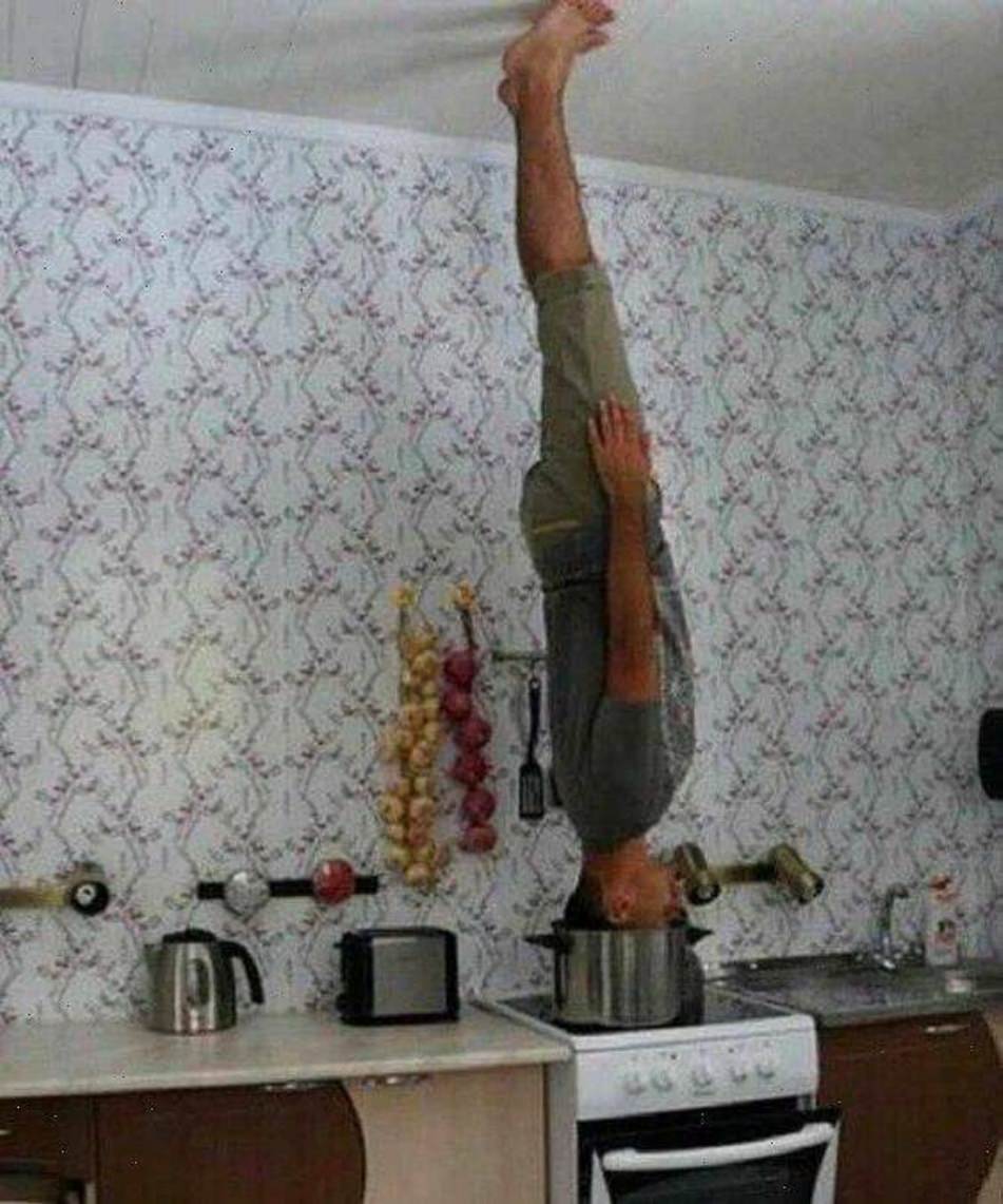 WTF