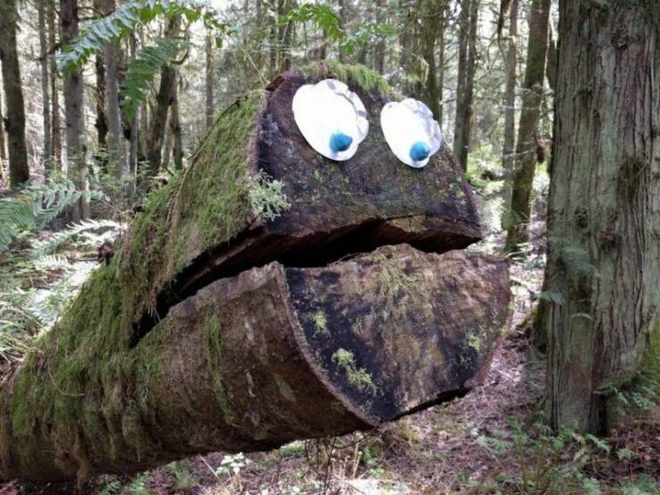 WTF
