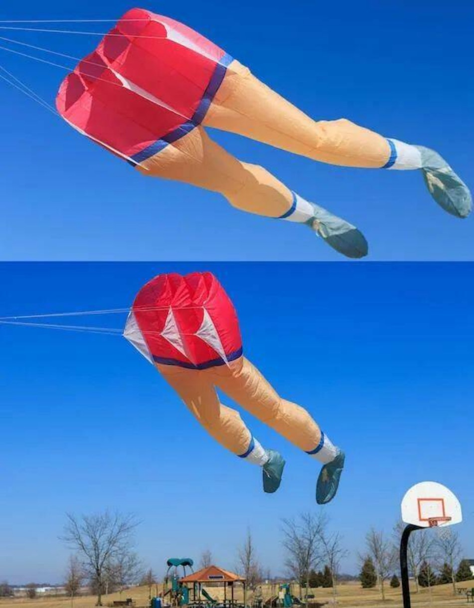 WTF