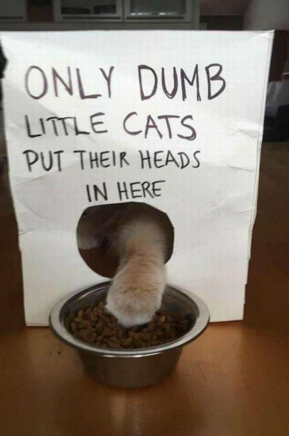 WTF