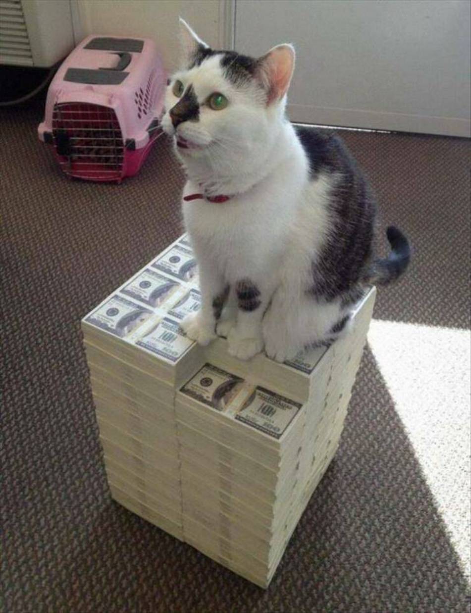 WTF