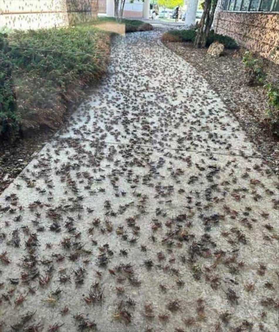 WTF