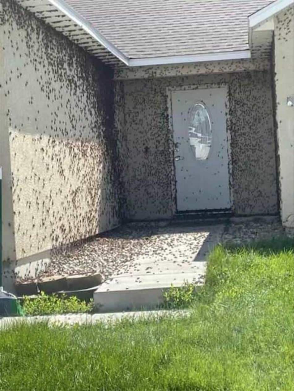 WTF