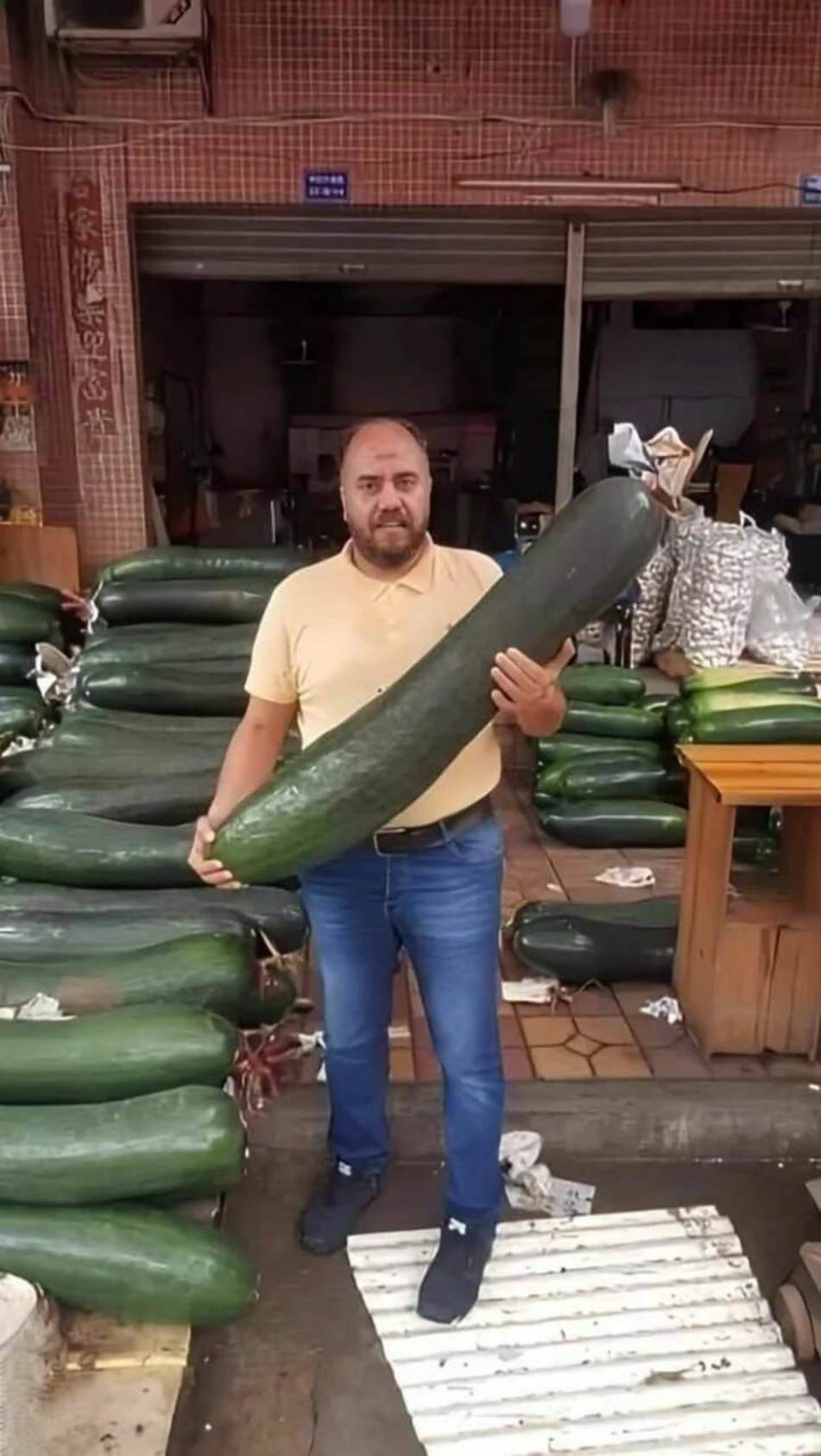 WTF