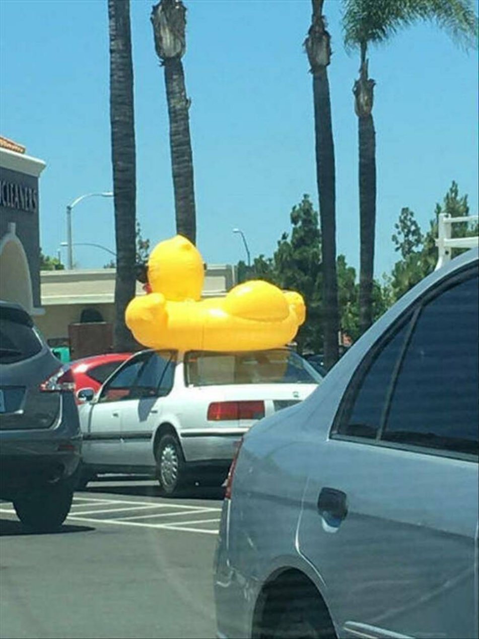 WTF