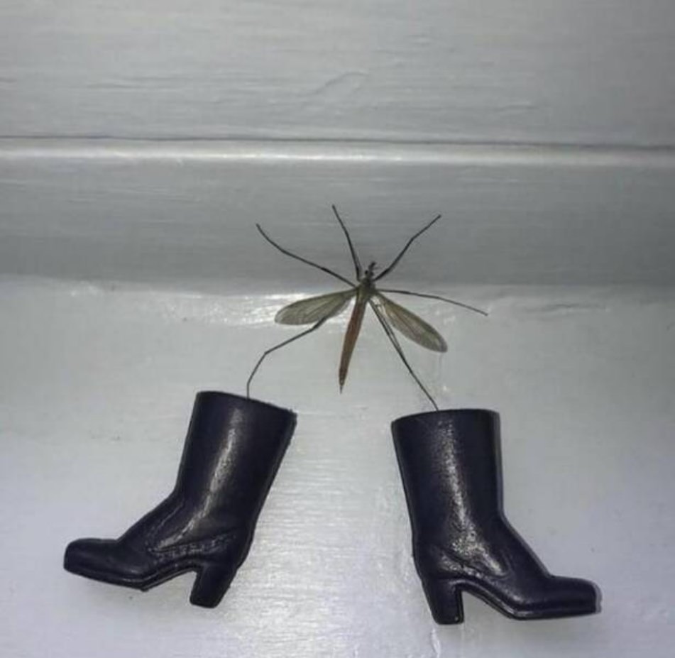 WTF