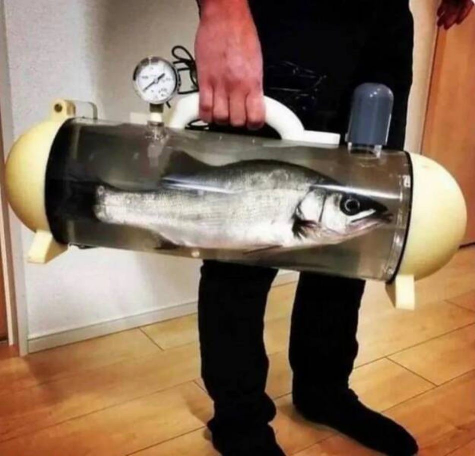 WTF