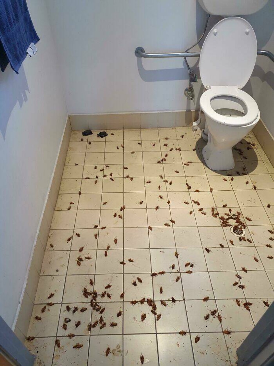 WTF