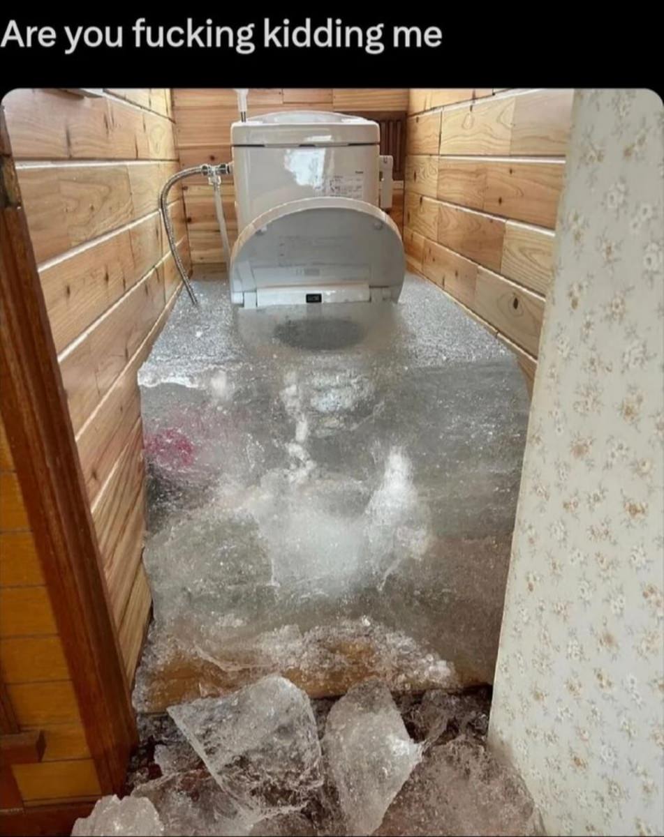 WTF