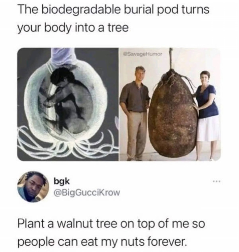 WTF