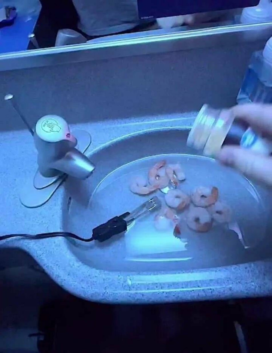 WTF