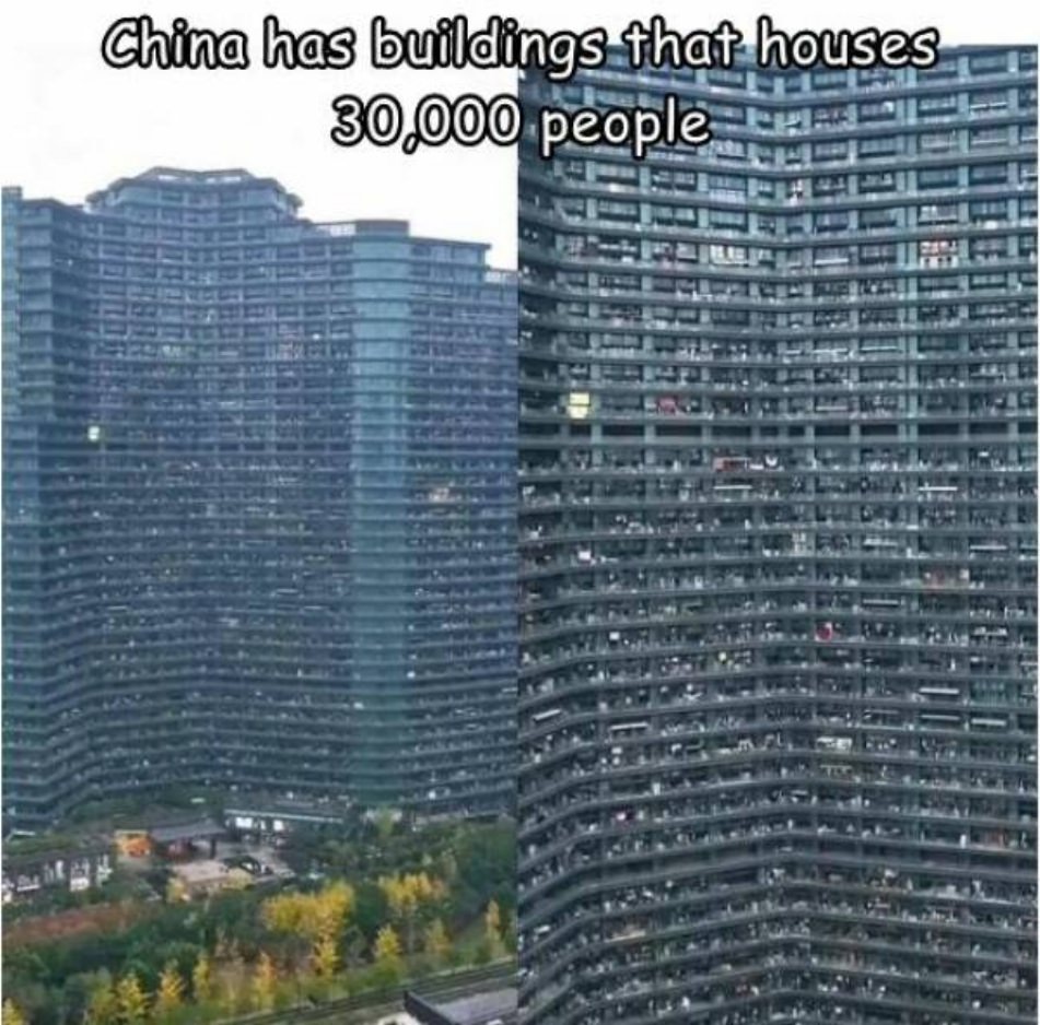 WTF