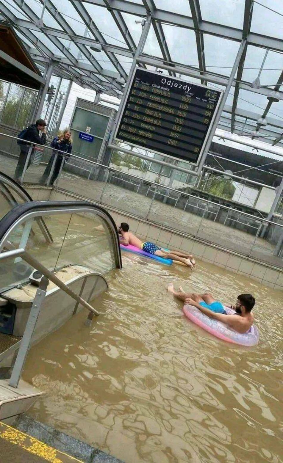 WTF