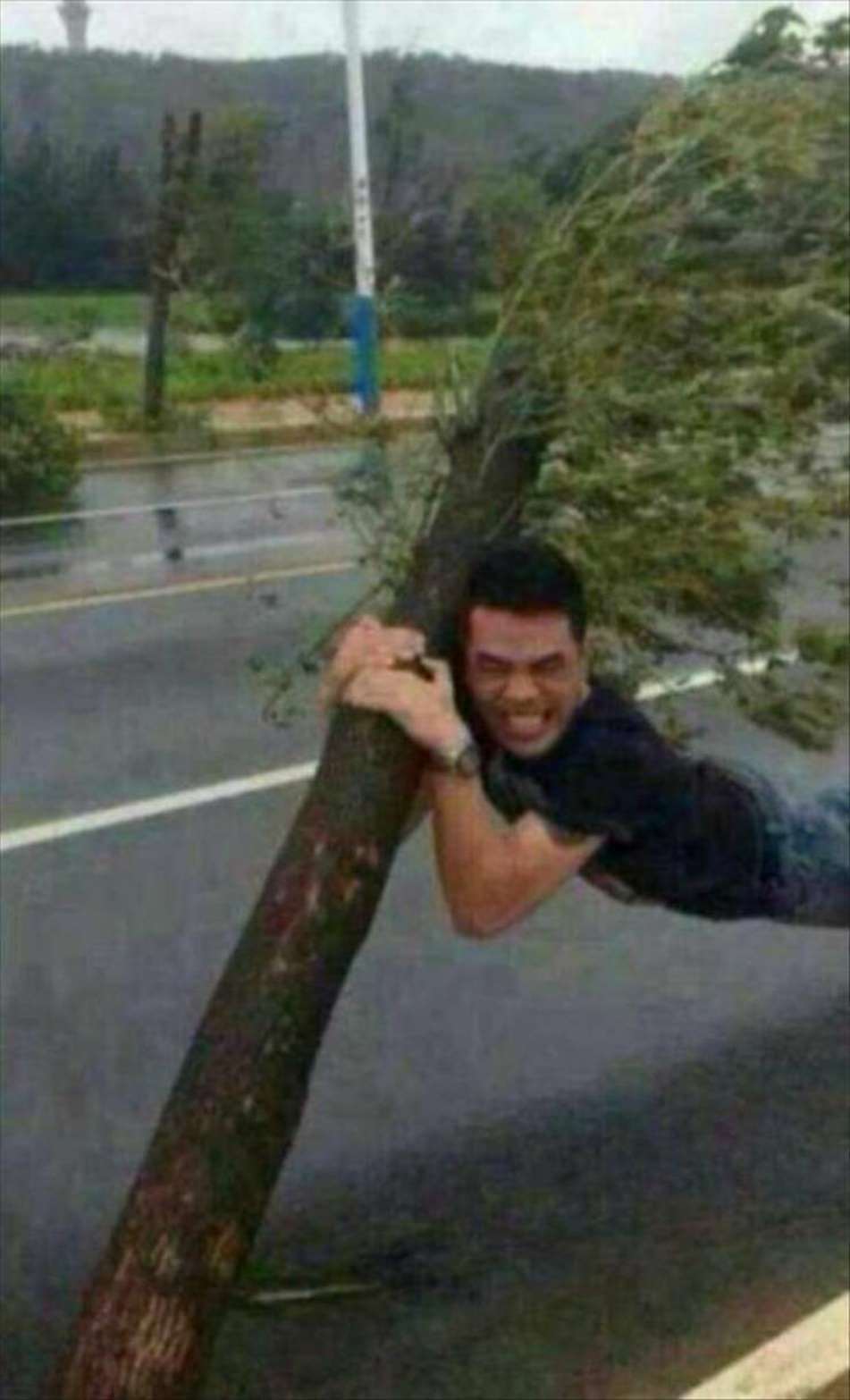 WTF