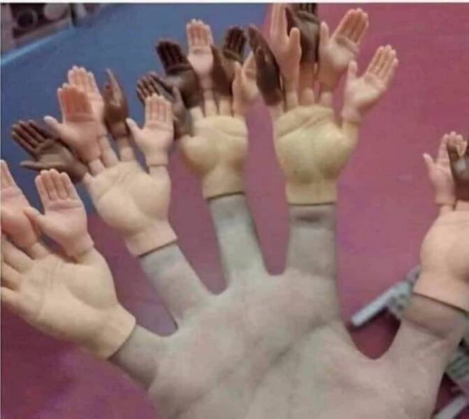 WTF