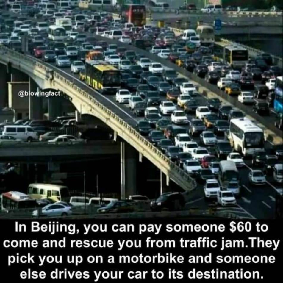 WTF