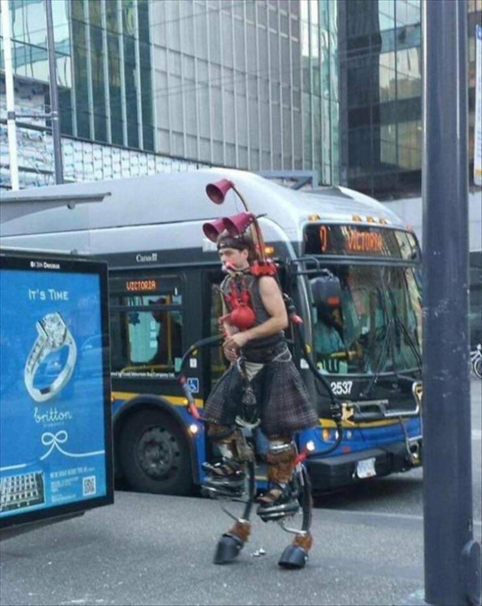 WTF