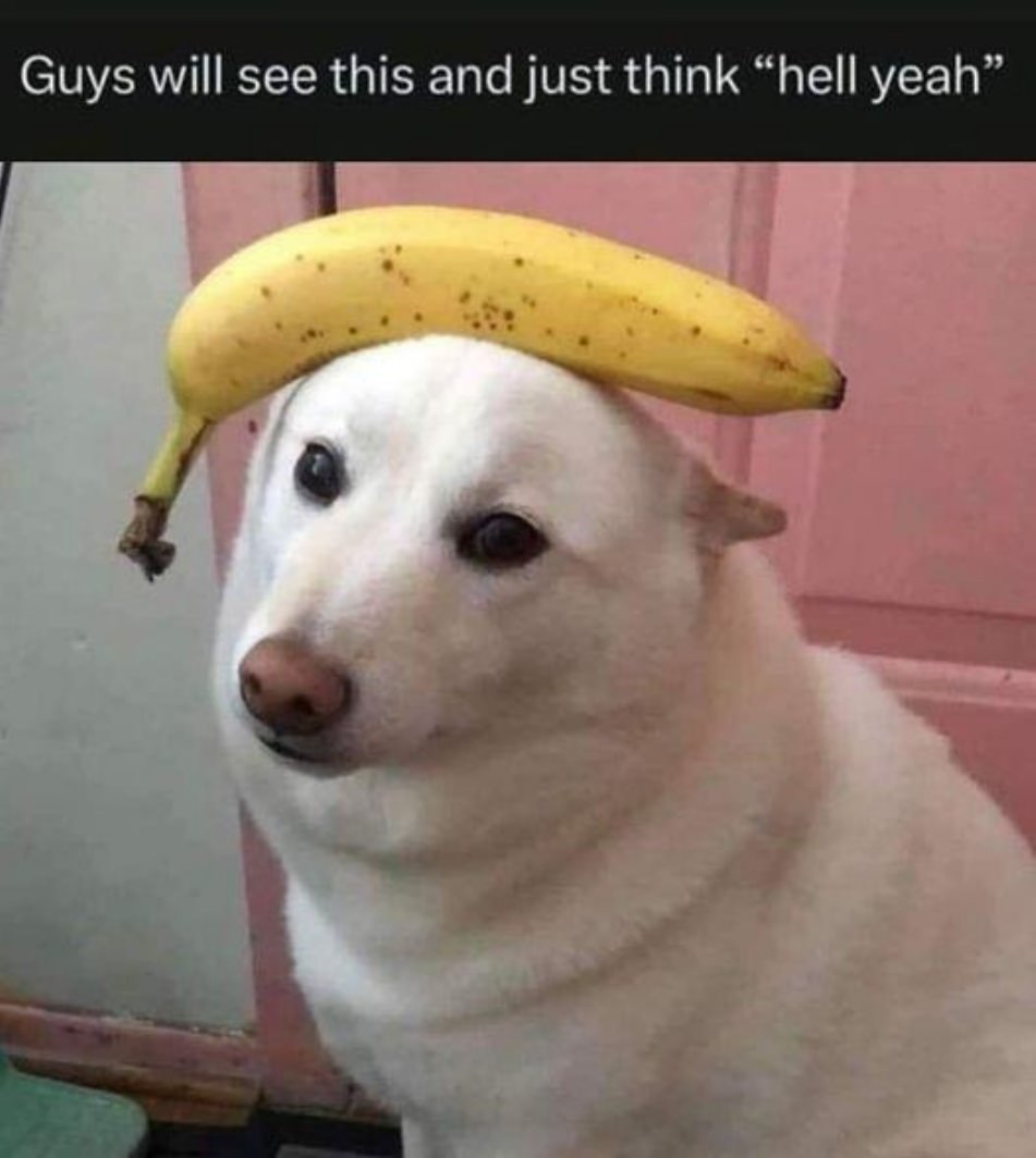 WTF