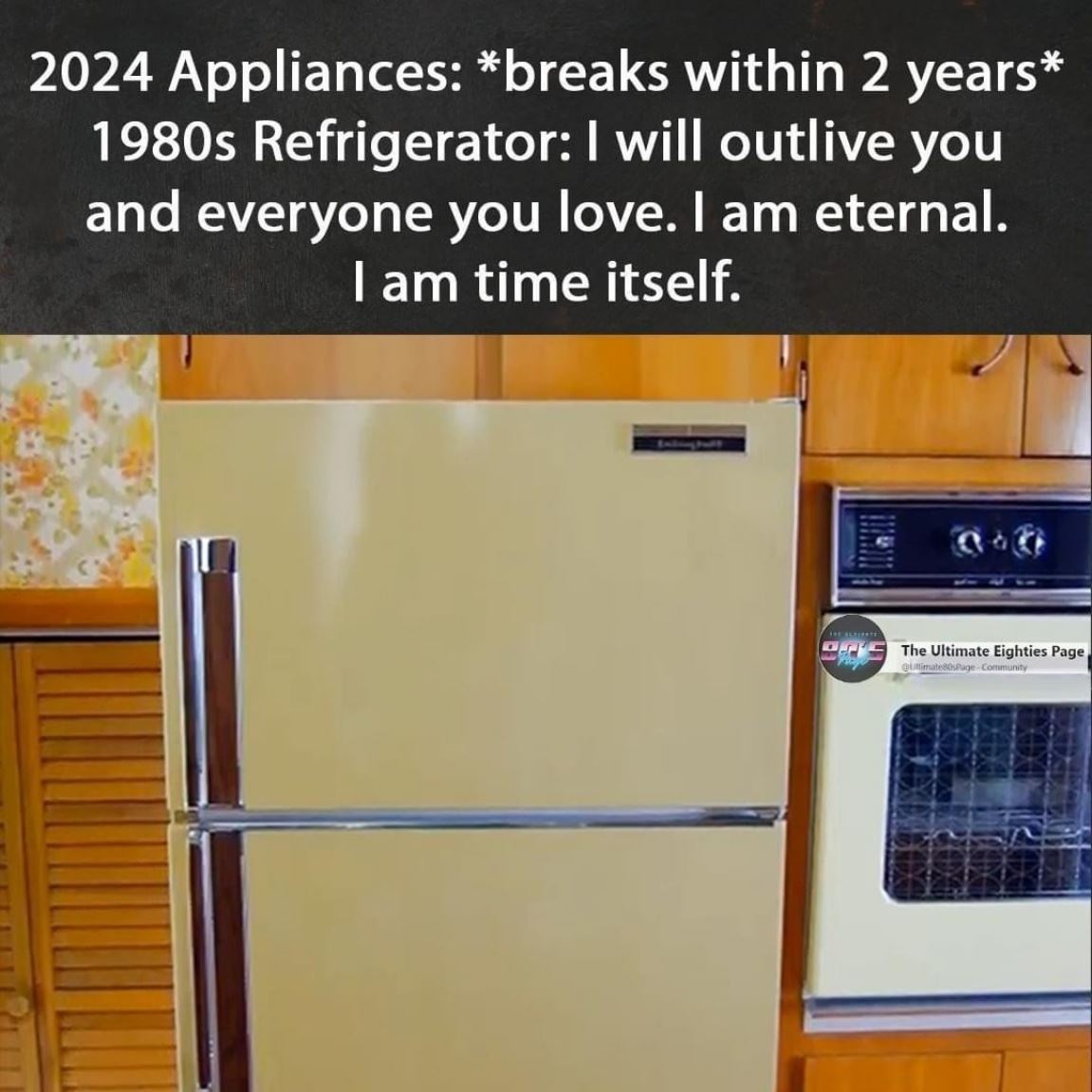 1980 Fridge