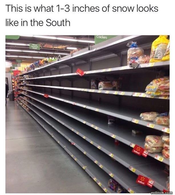 1 To 3 Inches Of Snow In The South