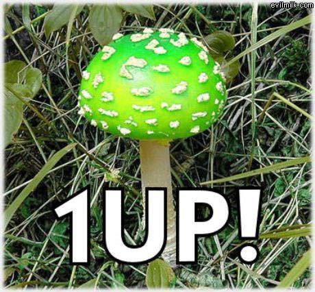 1 Up