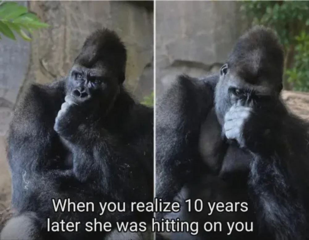1 Years Later