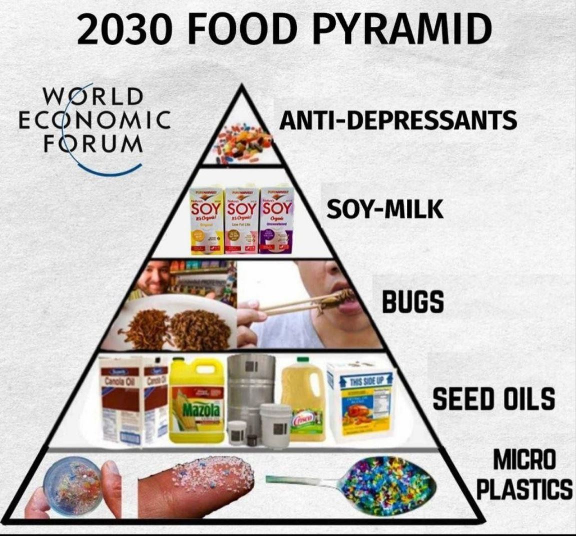 2030 Food Pyramid