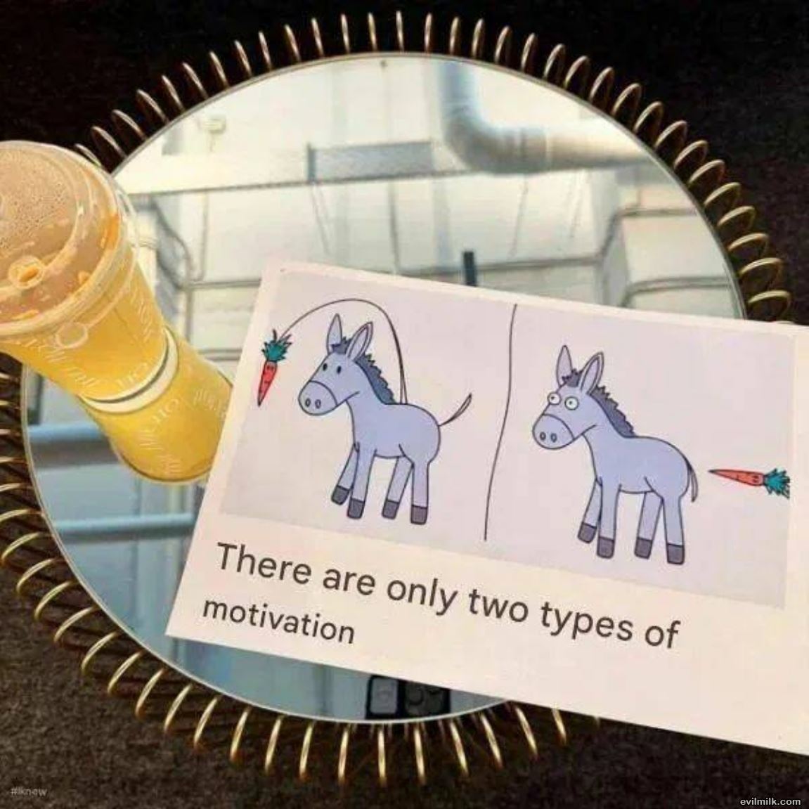 2 Types