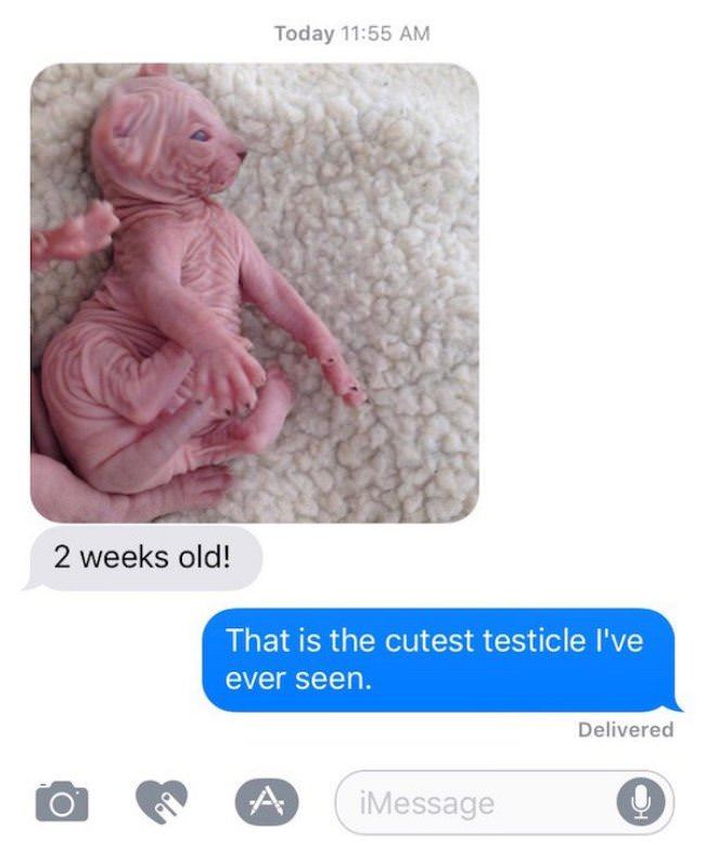 2 Weeks Old