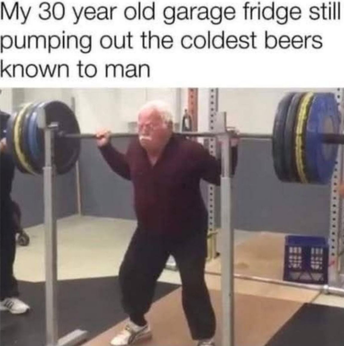 30 Year Old Fridge