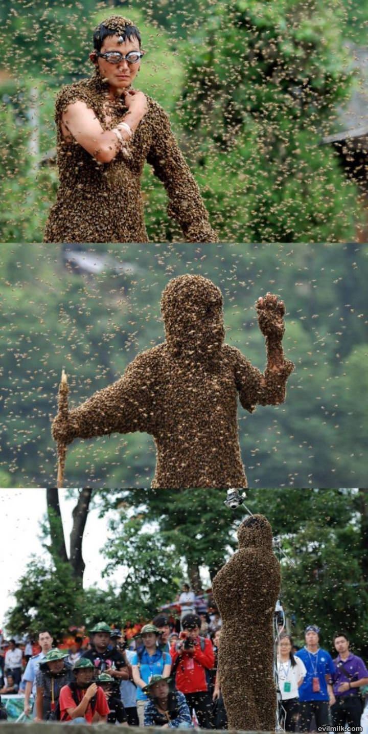 A Bee Suit