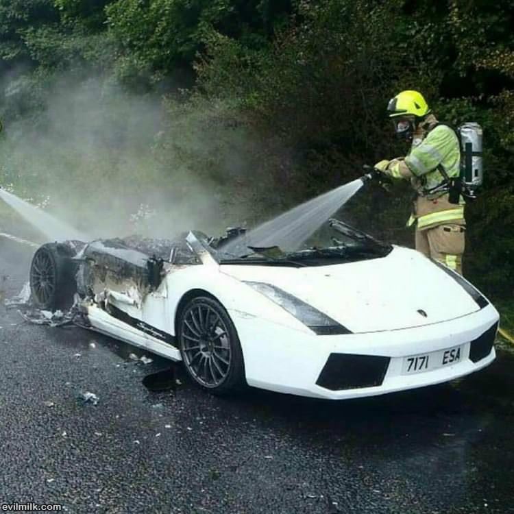 A Damn Shame