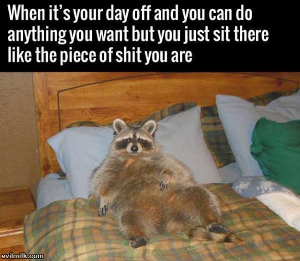 A Day Off
