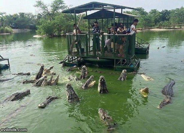 A Fun Boat Ride