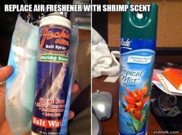 A Fun Prank Idea